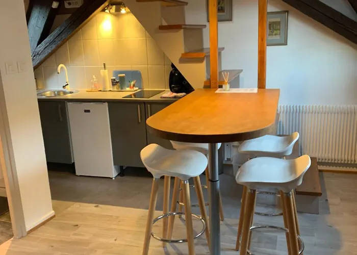 Duplex 2a Rue D'alspach * Colmar